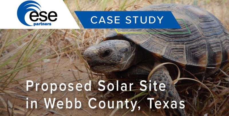 Environmental Evaluation of Proposed Solar Farm in Webb County, Texas