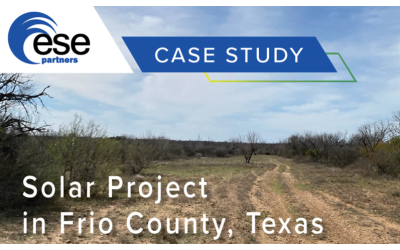 Solar Project in Frio County, Texas