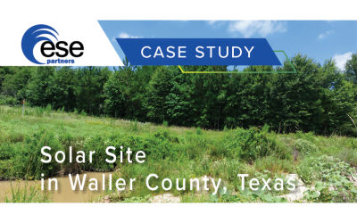 Solar Site in Waller County, Texas