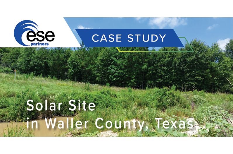 Solar Site in Waller County, Texas