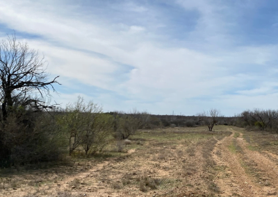 Frio County Solar Project